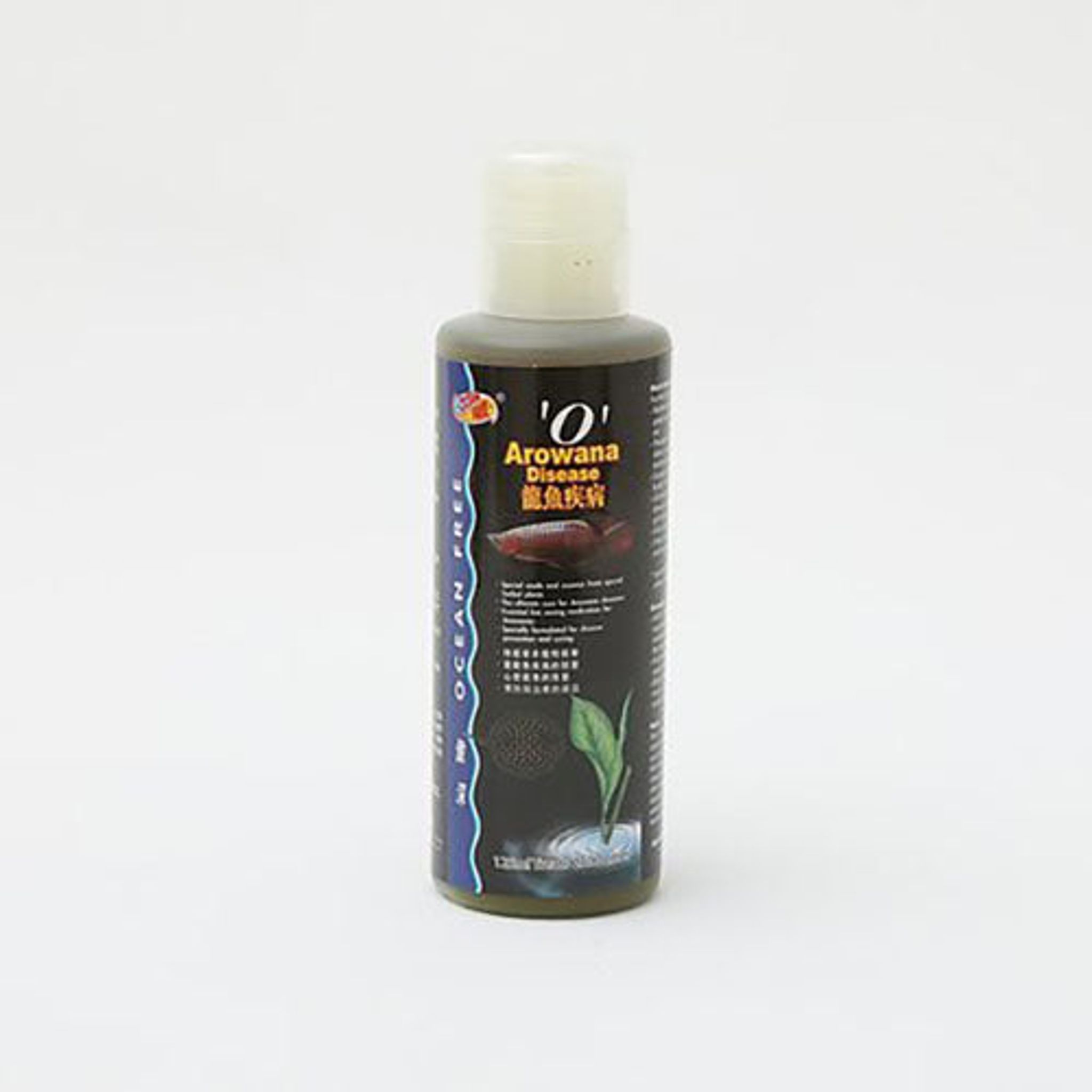 Ocean Free 'O' Arowana Disease (Options Available)