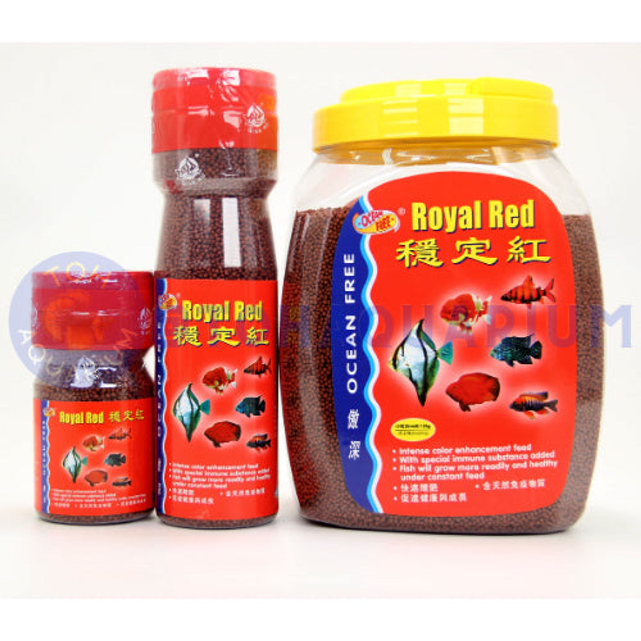 Ocean Free XO Royal Red Small (Options Available)