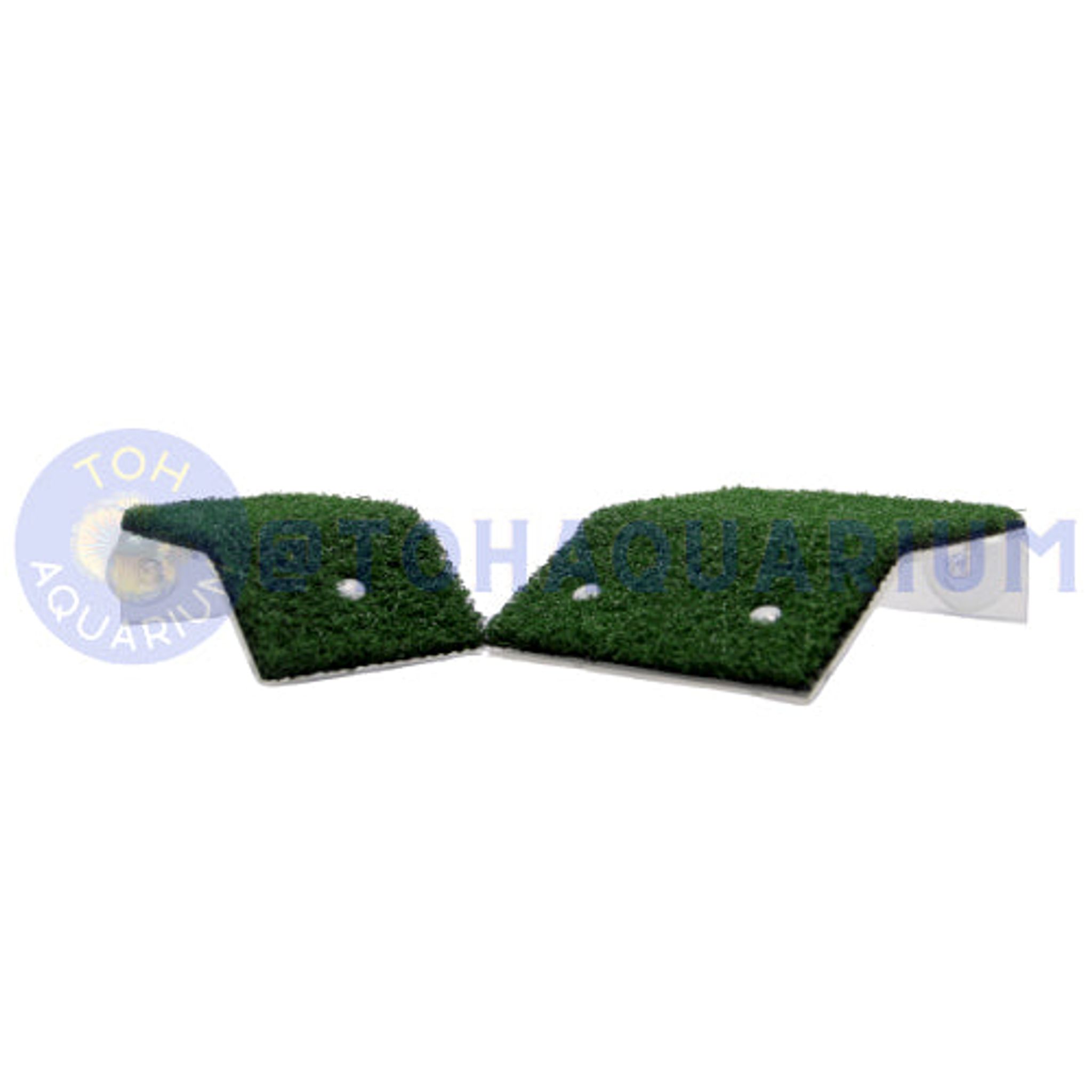 Turtle Platform with grass (Options Available)