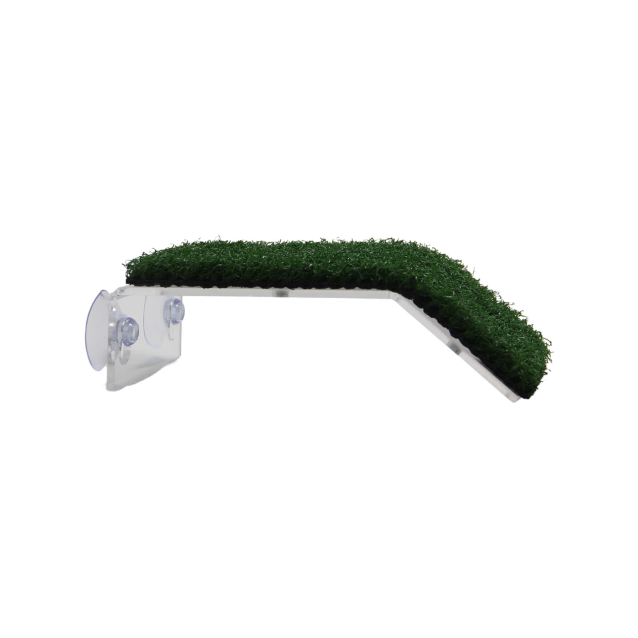 Turtle Platform with grass (Options Available)