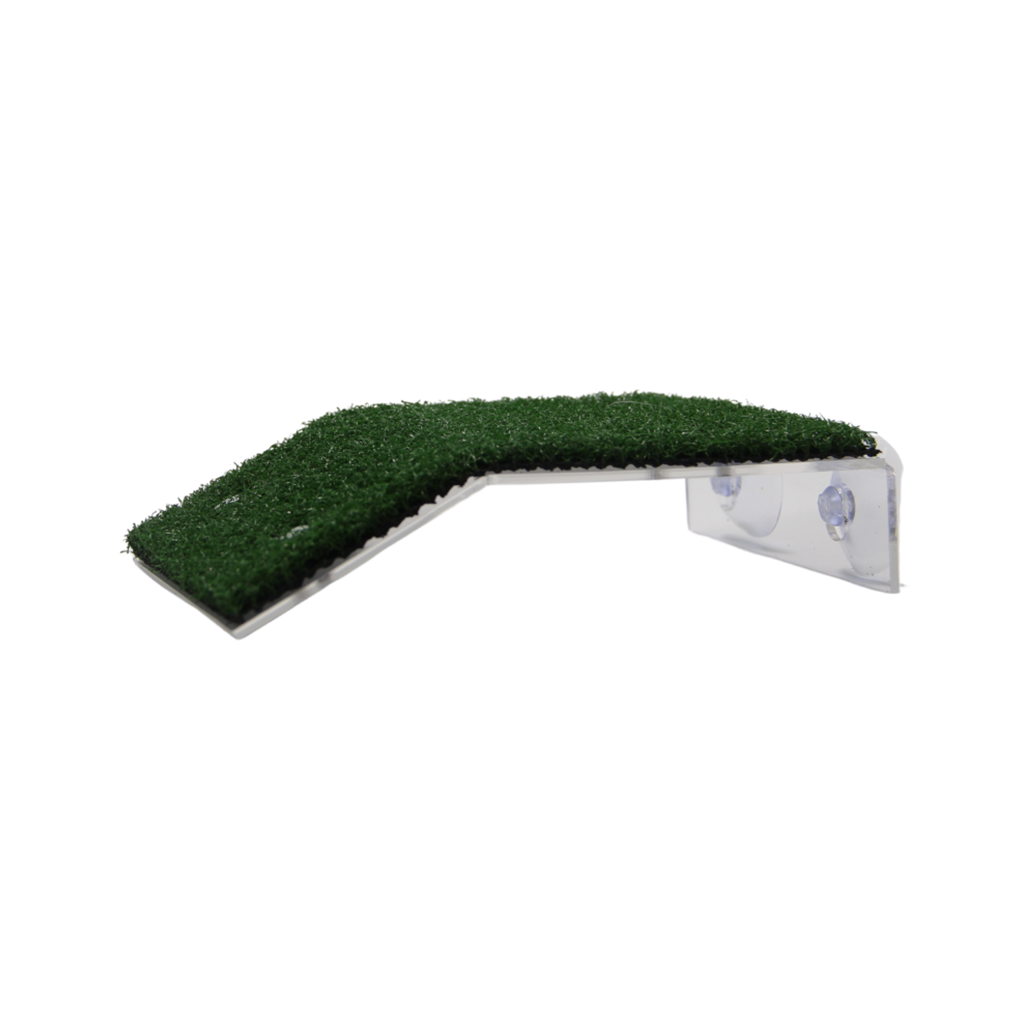 Turtle Platform with grass (Options Available)