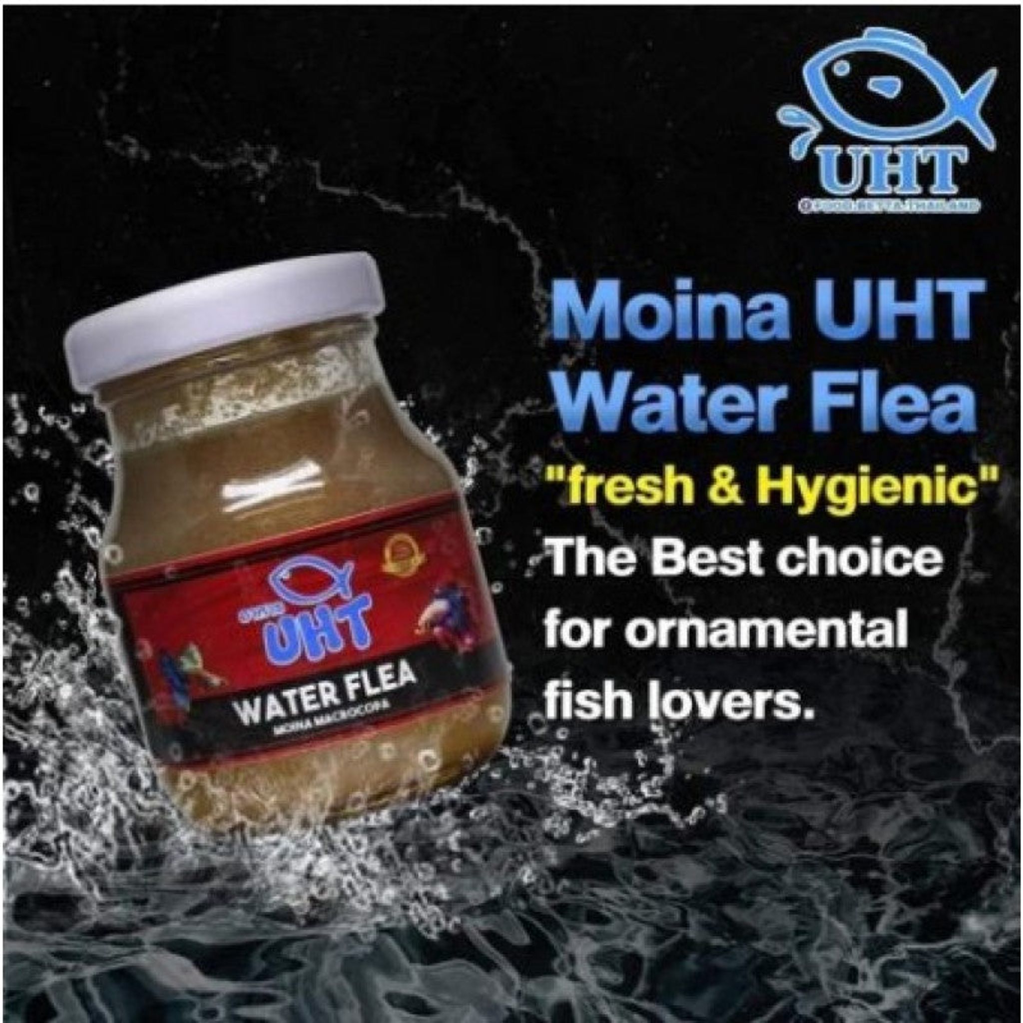 UHT Water Flea 75g