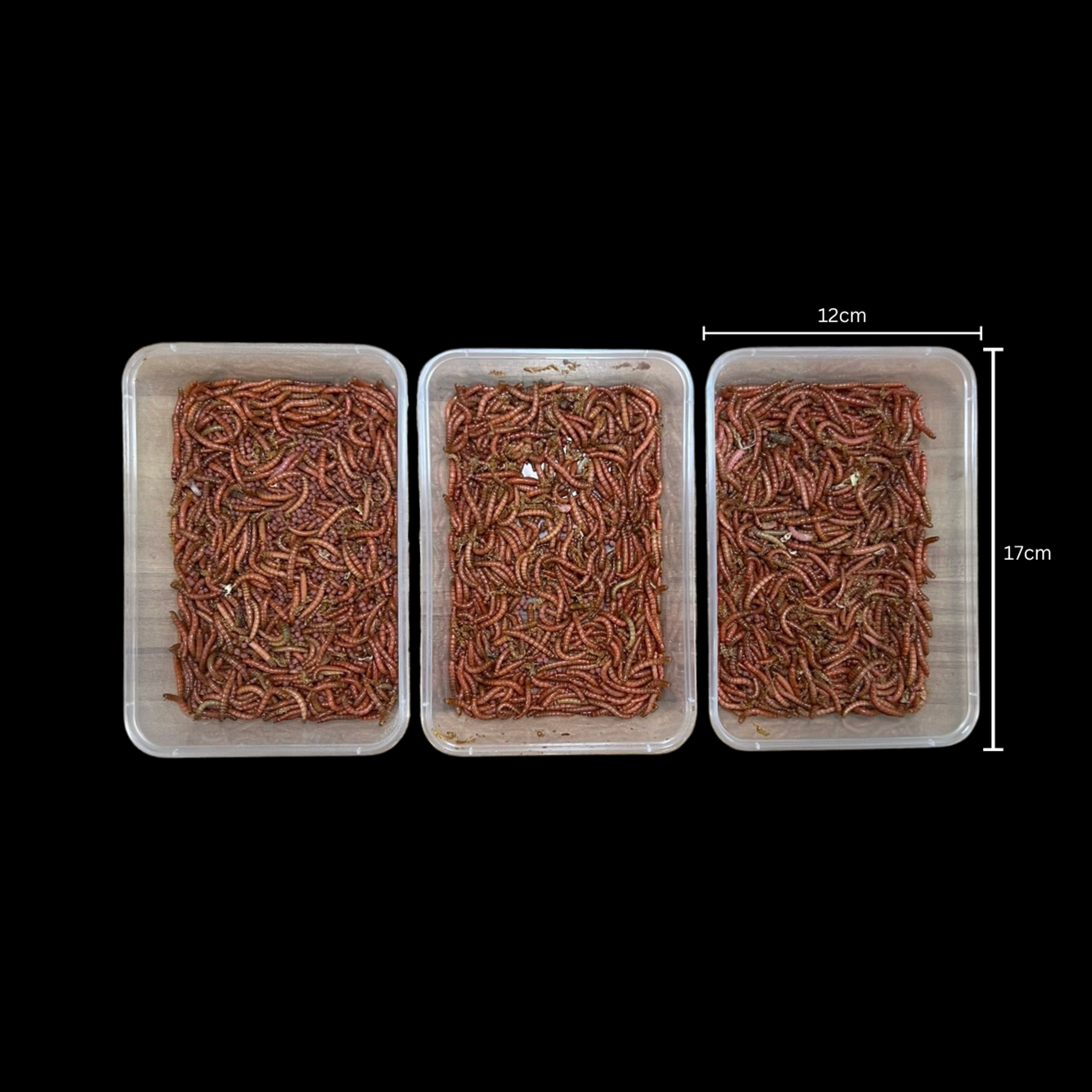 Beta-Carotene Mealworms