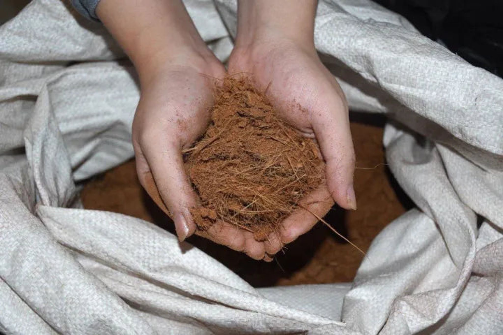 Cocopeat