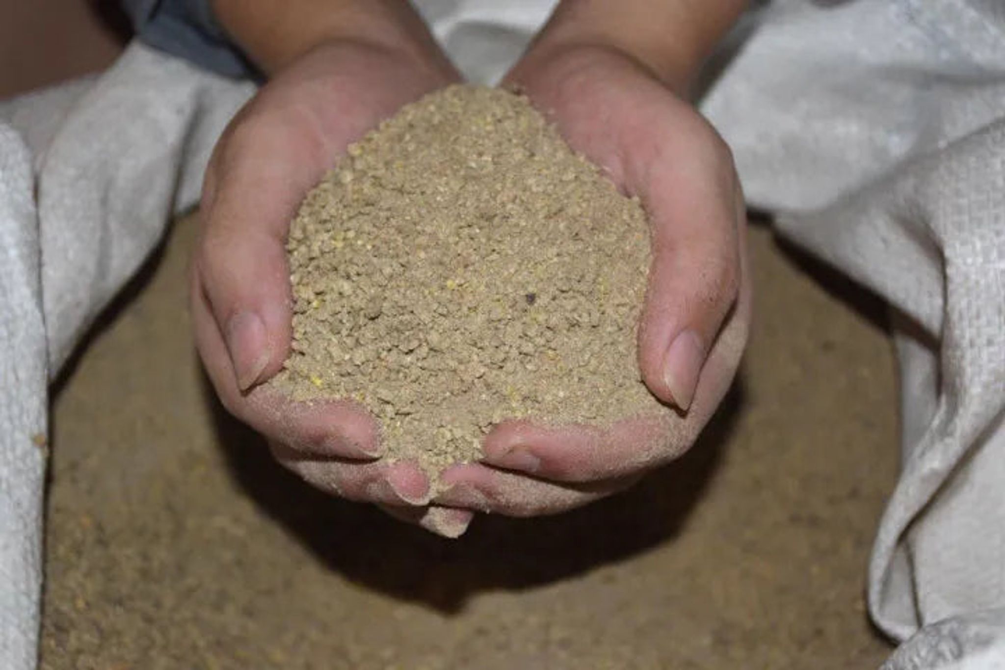 Commercial Chicken Feed