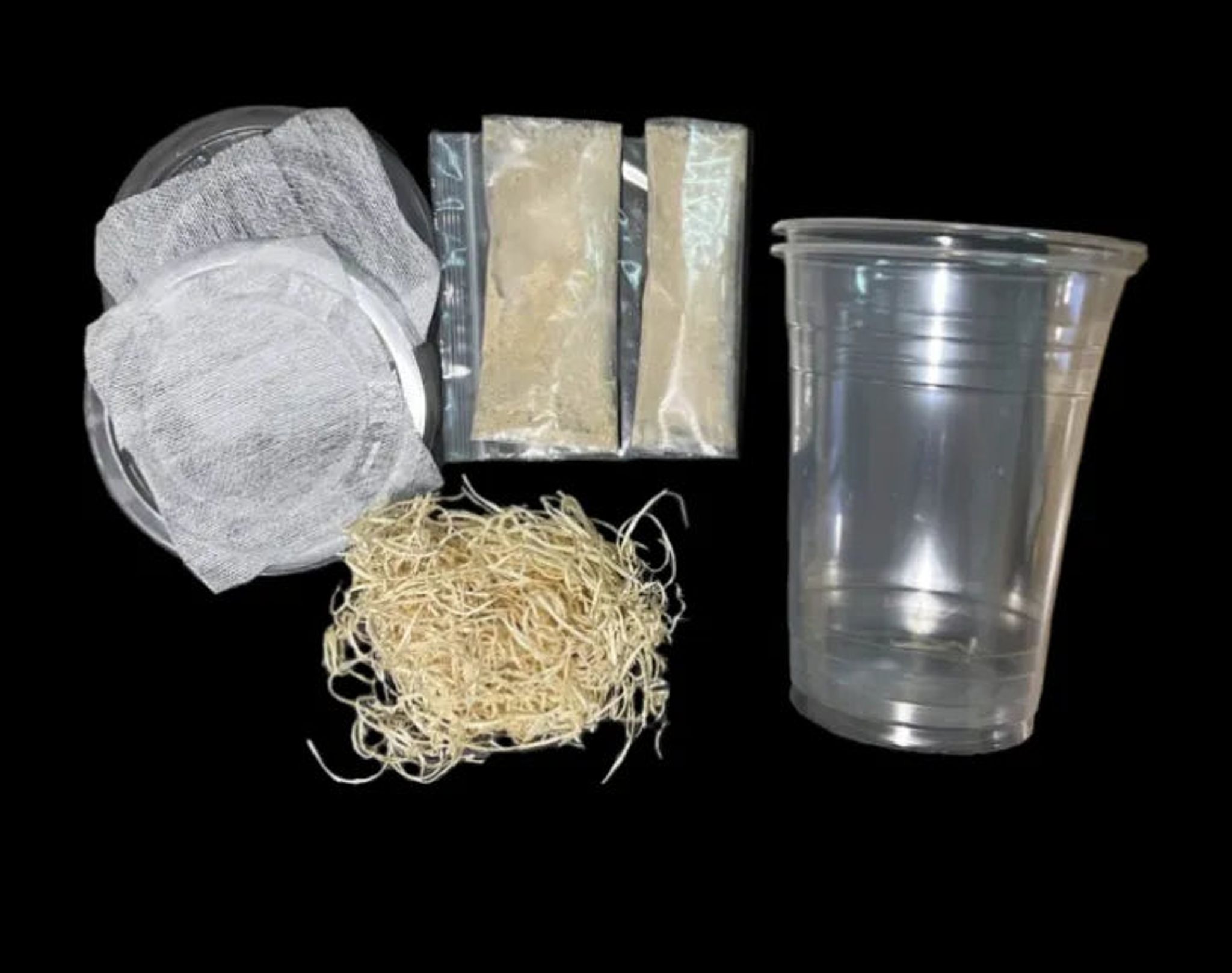 Flightless Fruit Flies Culture Starter Kit