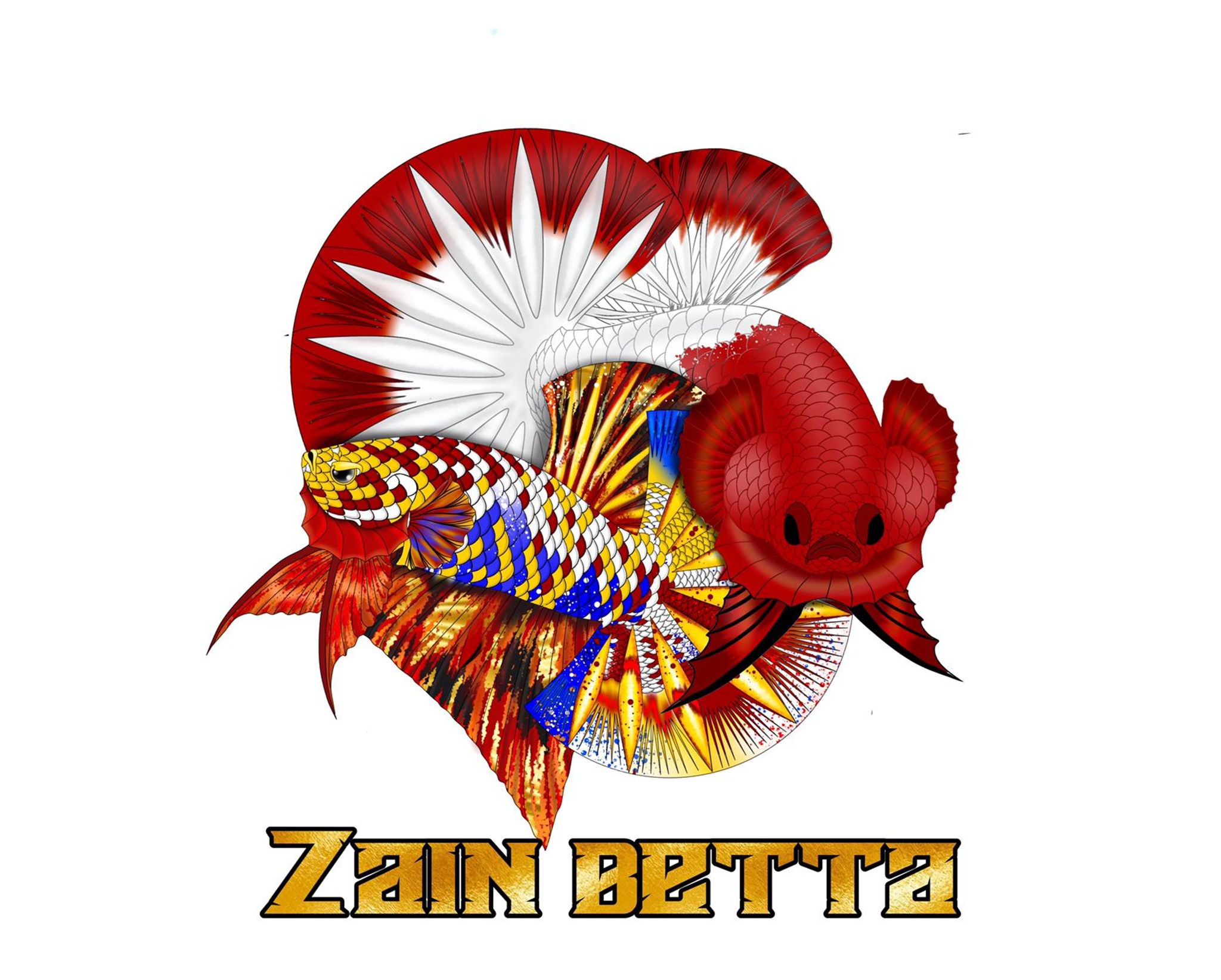 Zain Betta 
