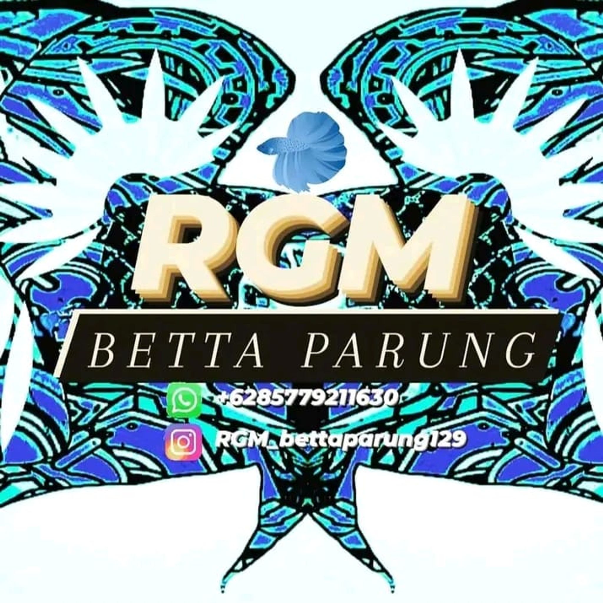 RGM Betta Halfmoon 
