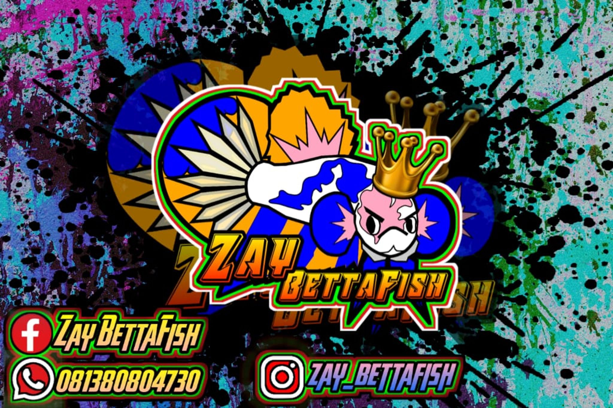 zay bettafish 