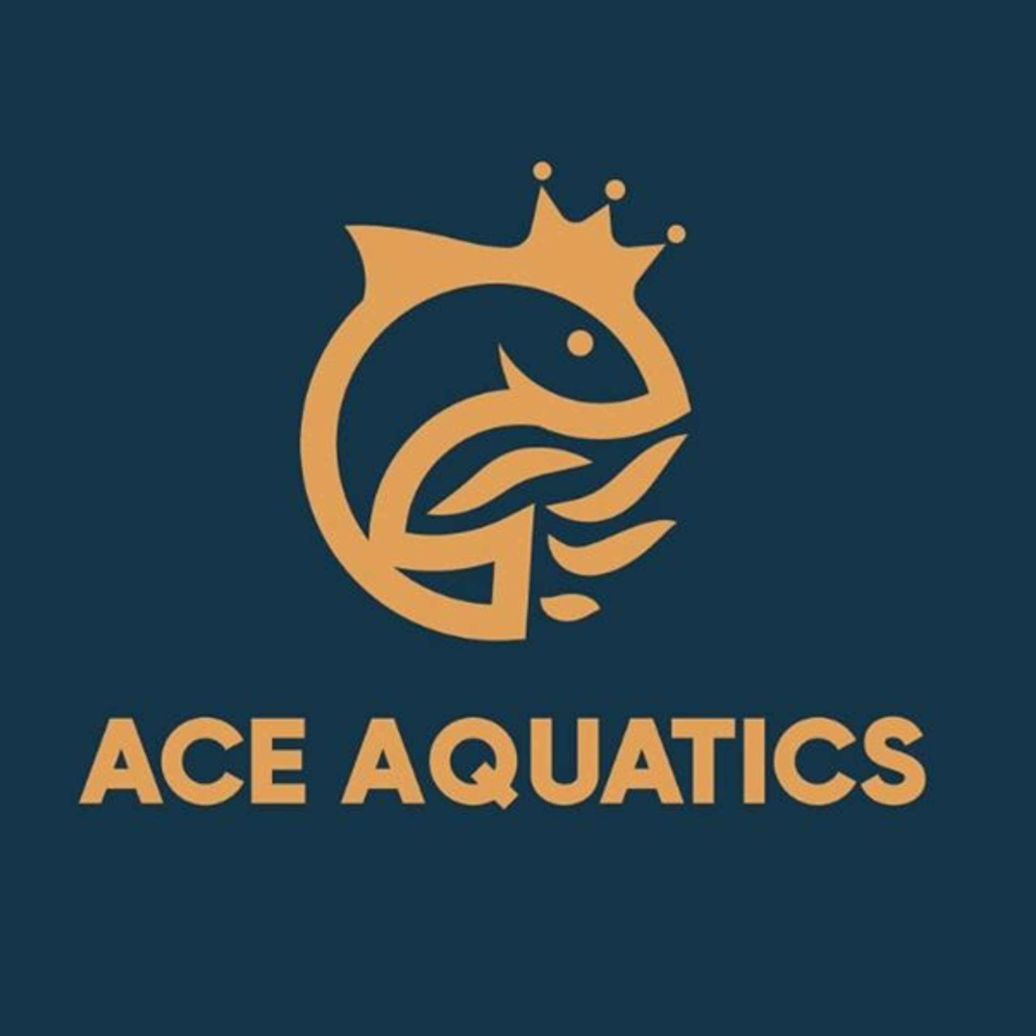 Ace Aquatics