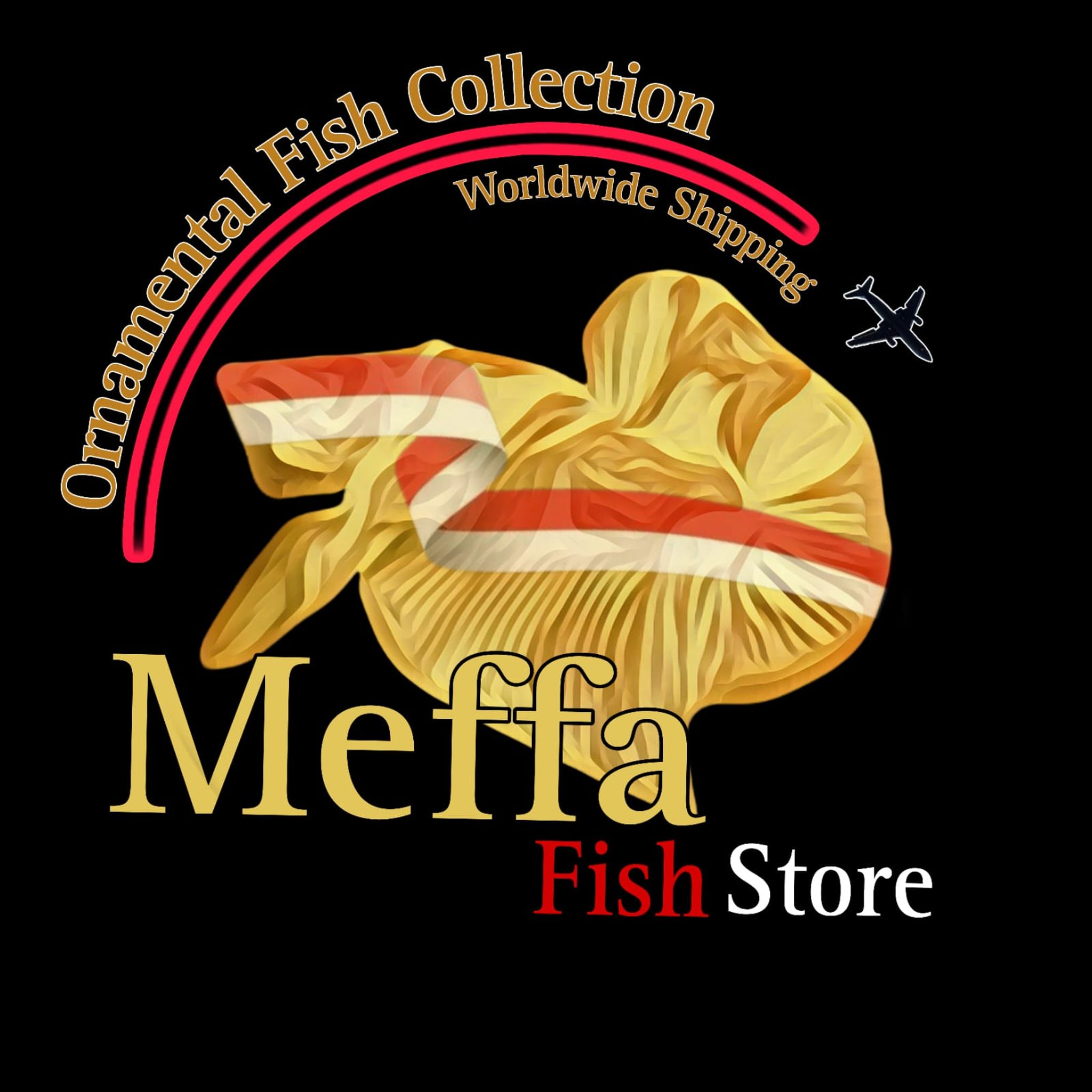 Bettafishmeffa store
