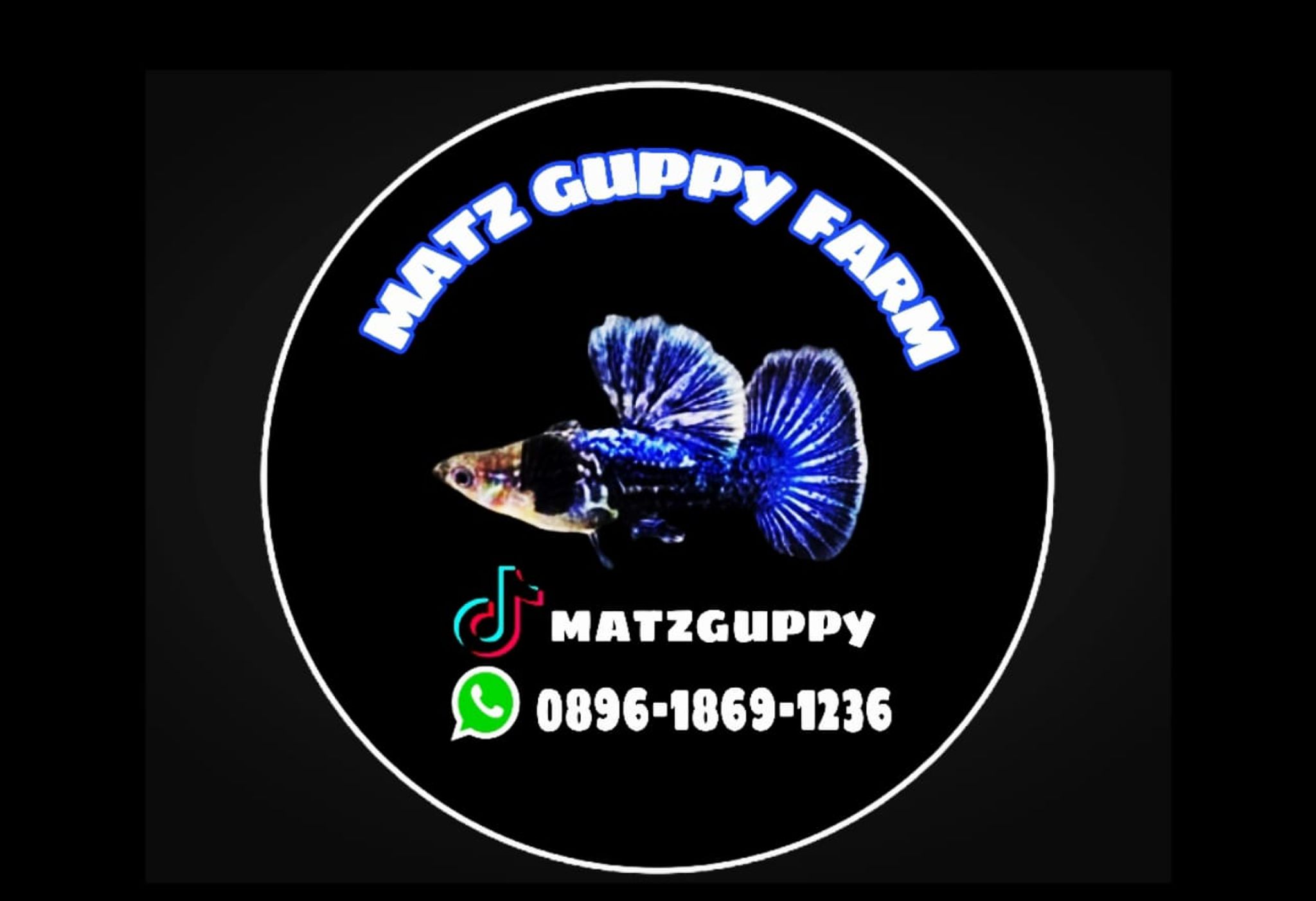 MATZ GUPPY FARM 