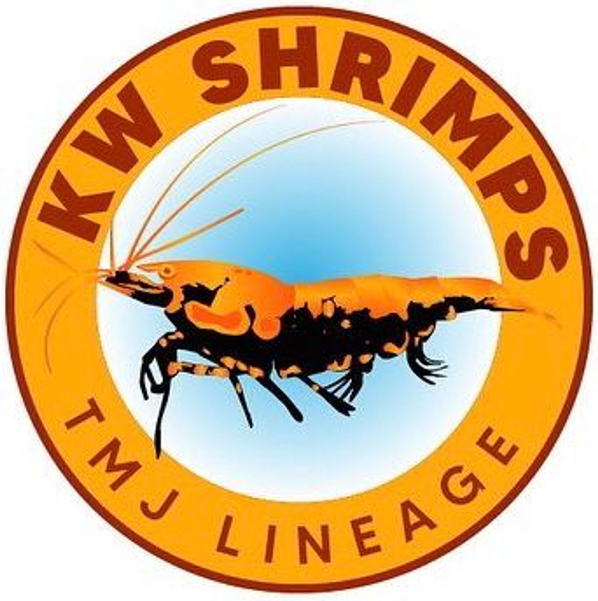 KW SHRIMPS 