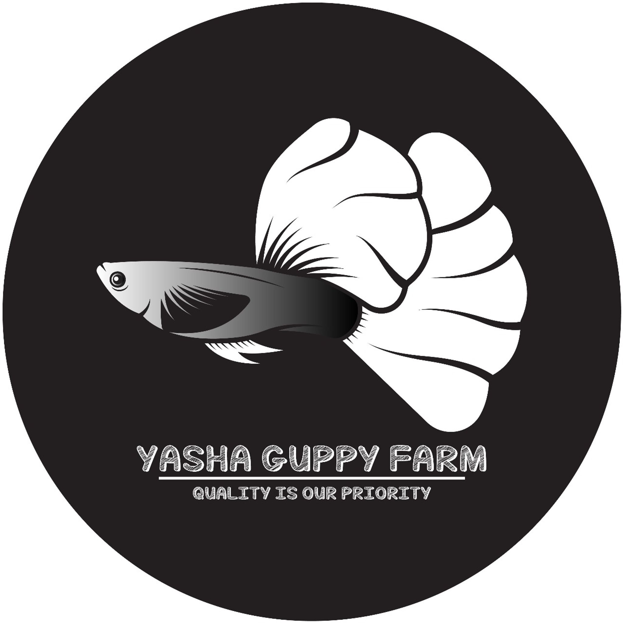 YashaguppyFarm 