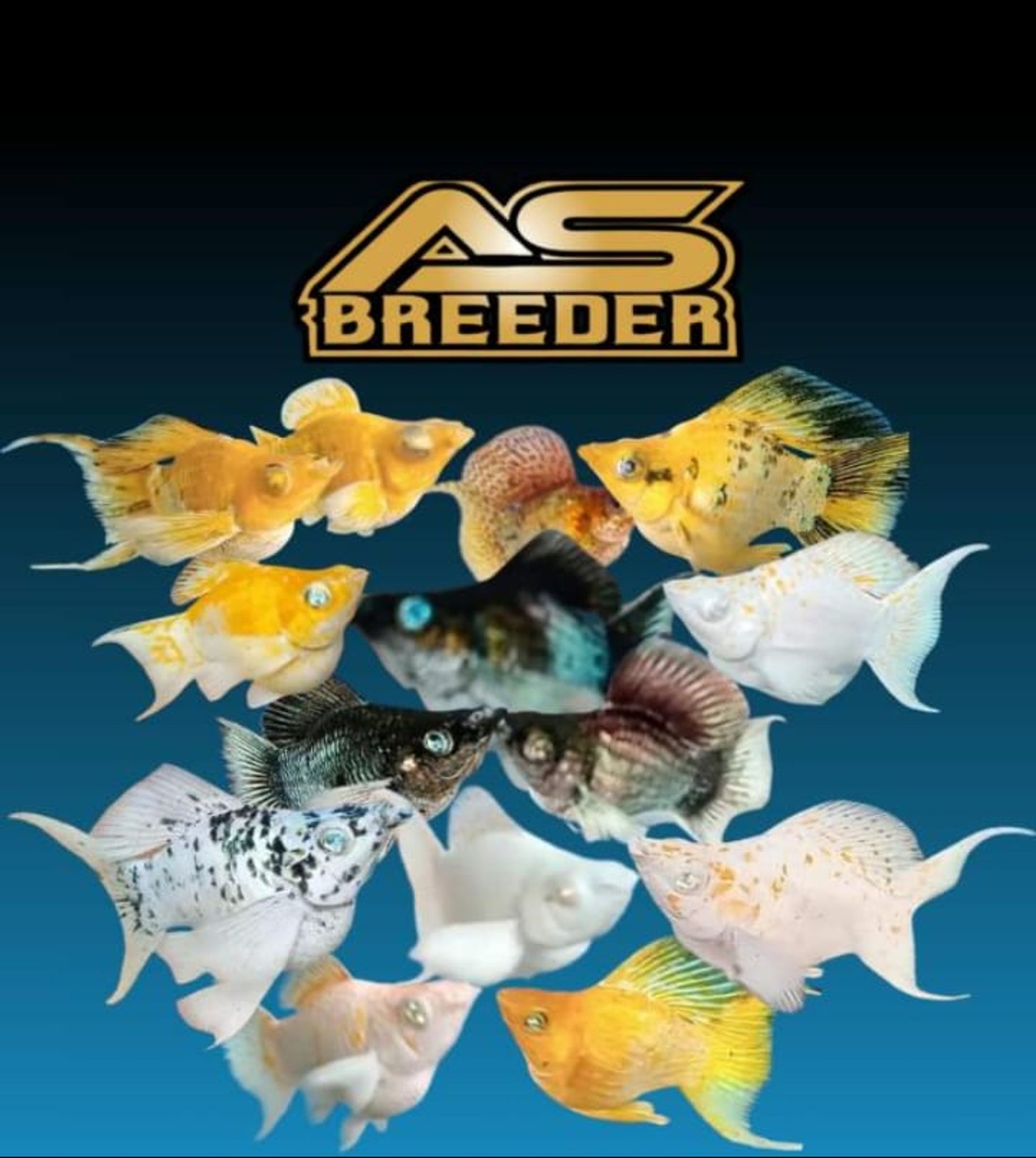 As Breeder