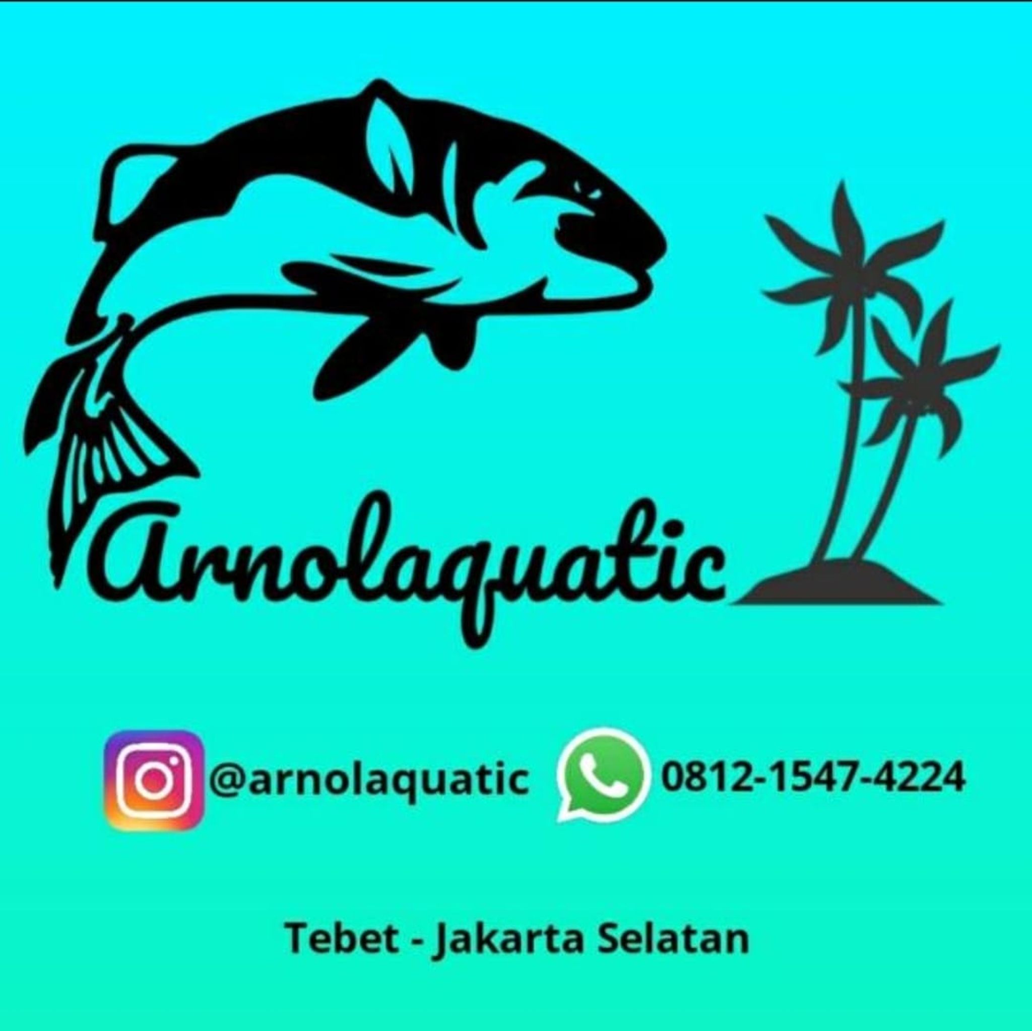 Arnol Aquatic 