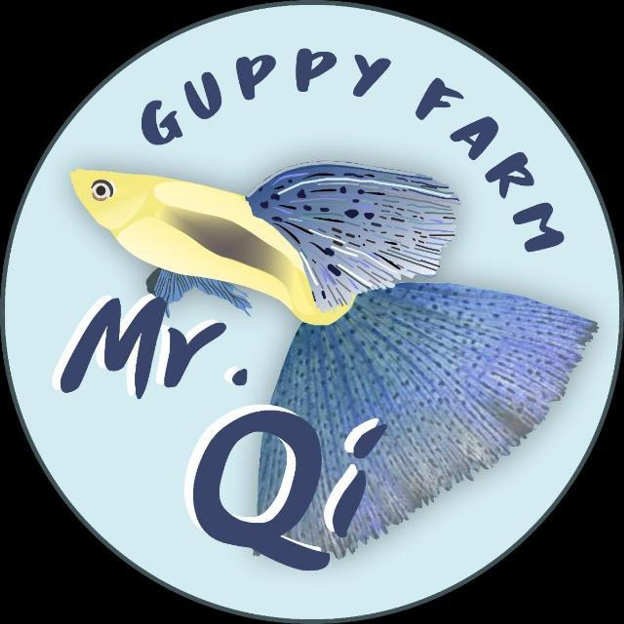 Mr. Qi Guppy 