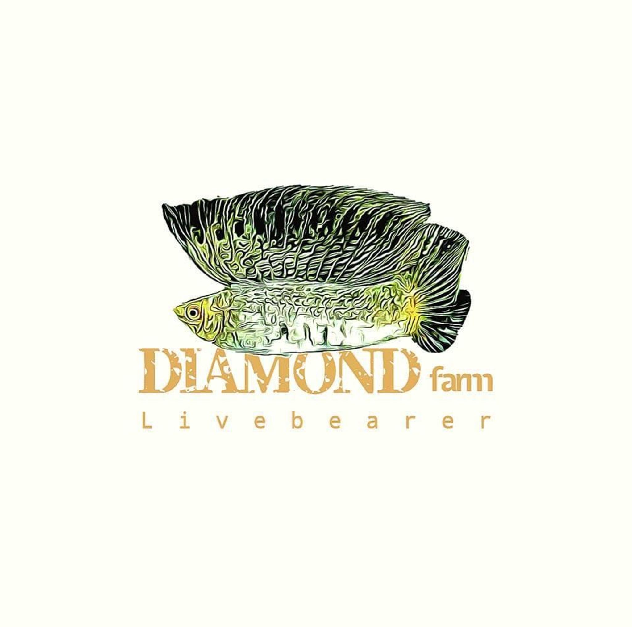 Diamondfarm 