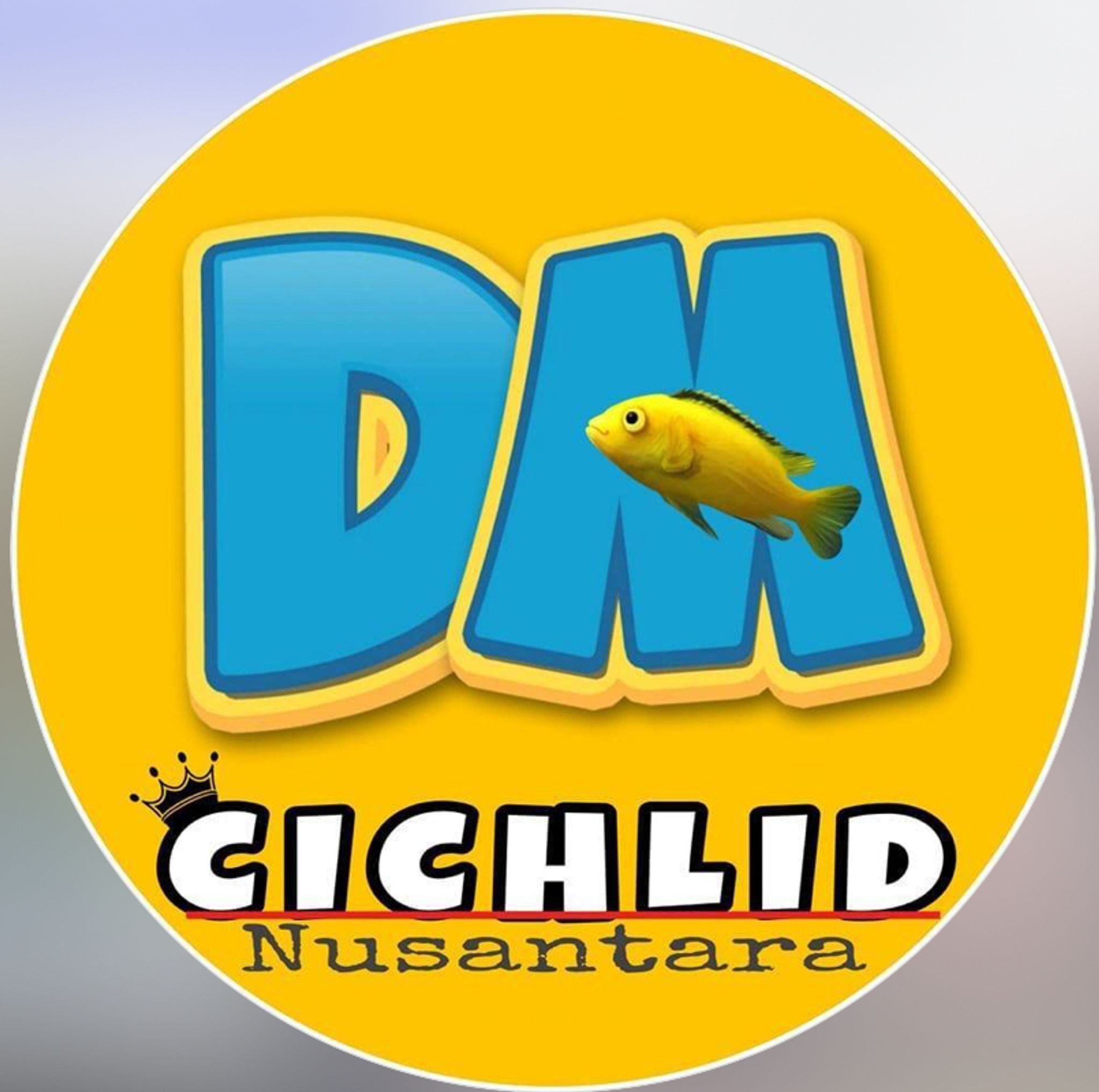 DM Cichlid