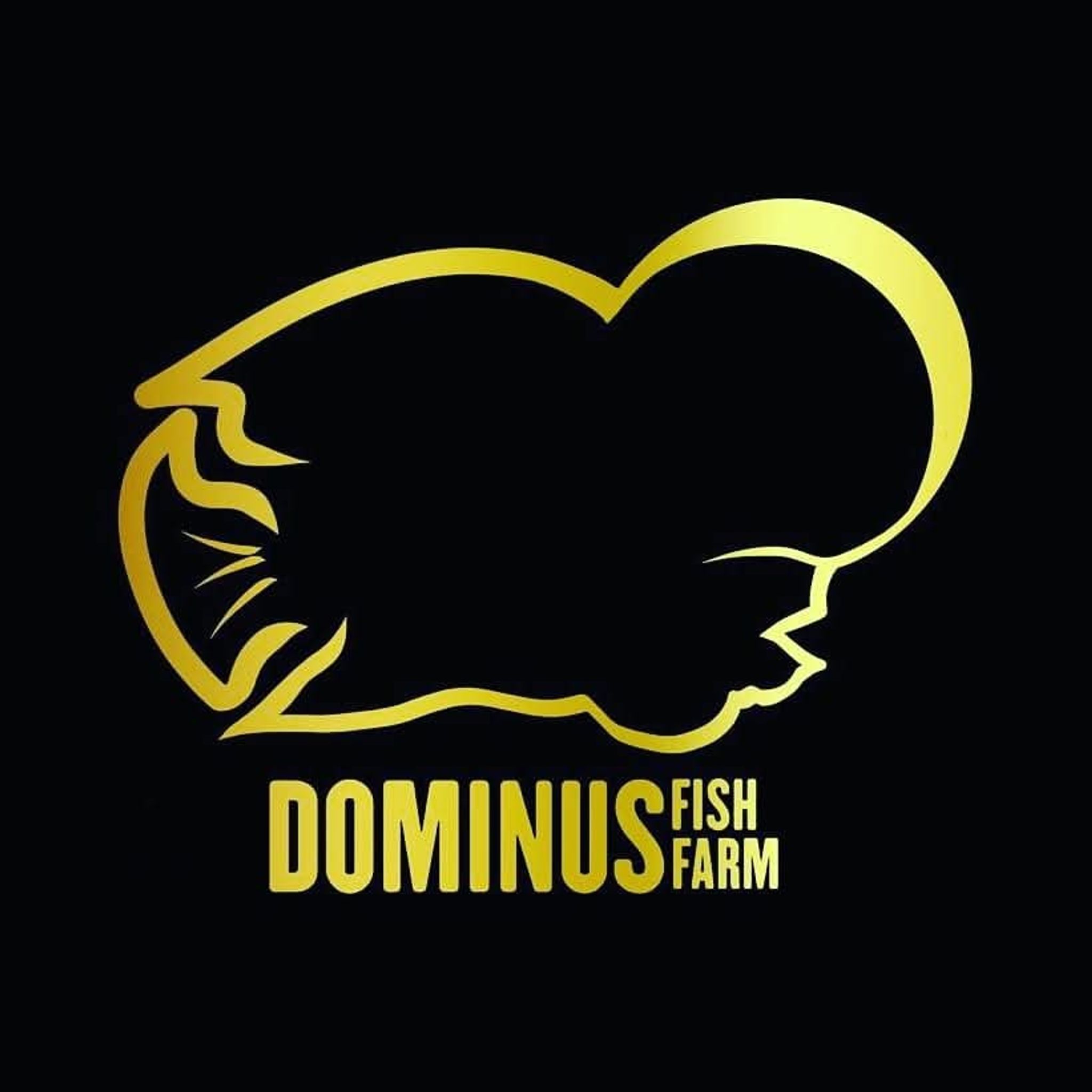 Dominus Fish Farm 