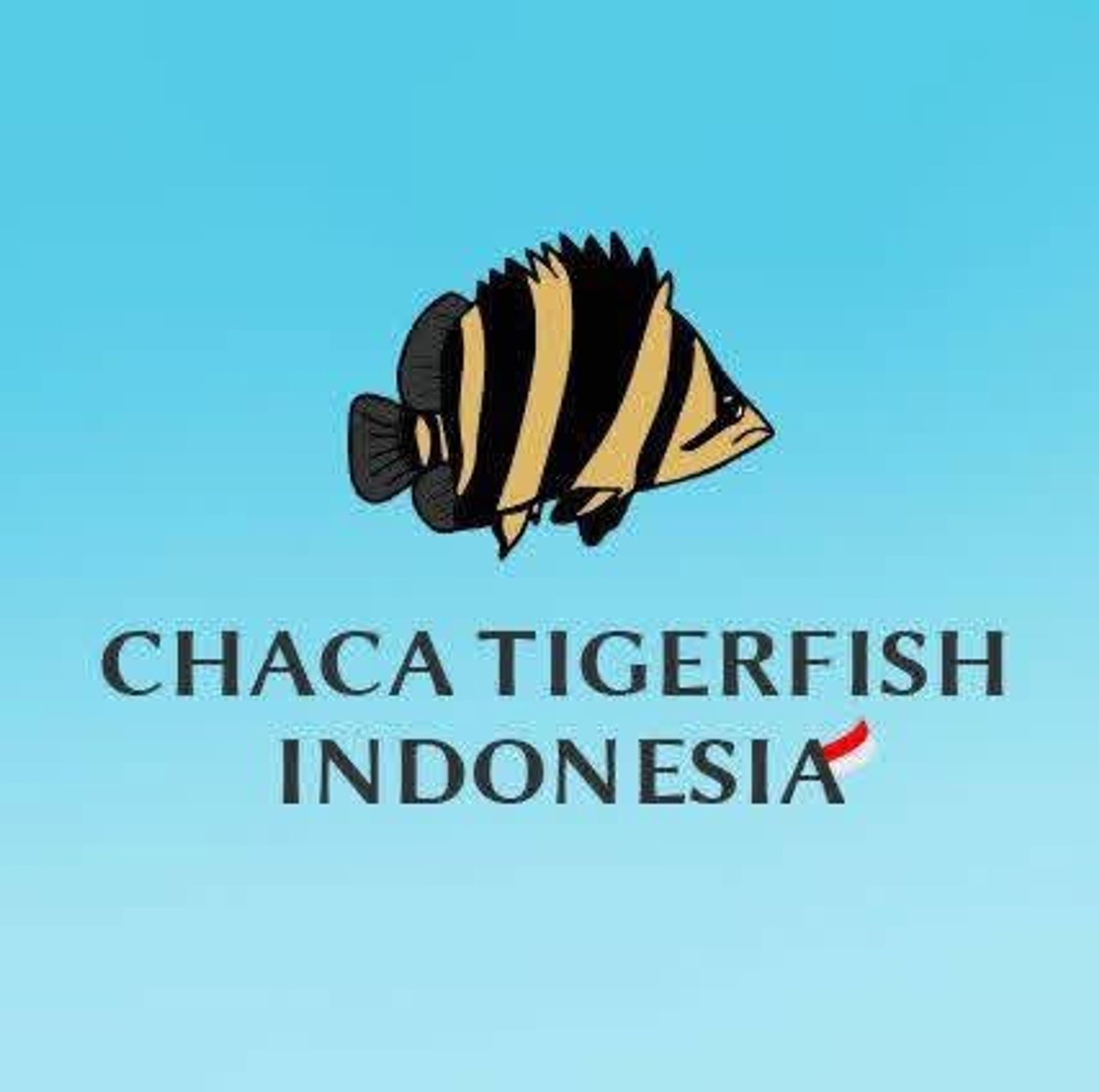Chaca Tigerfish 