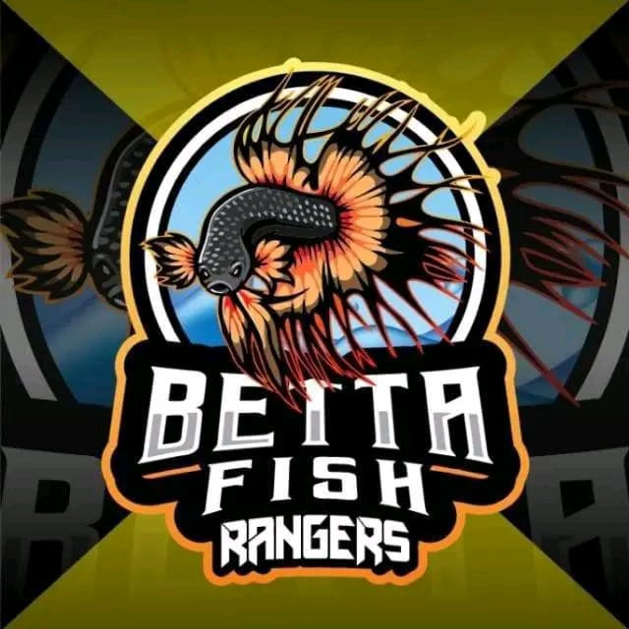 betta fish rangers 
