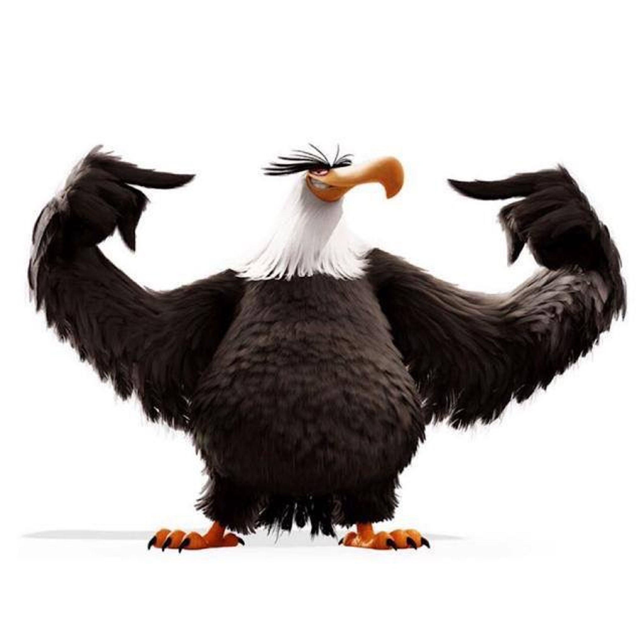 Eagle Feeder 