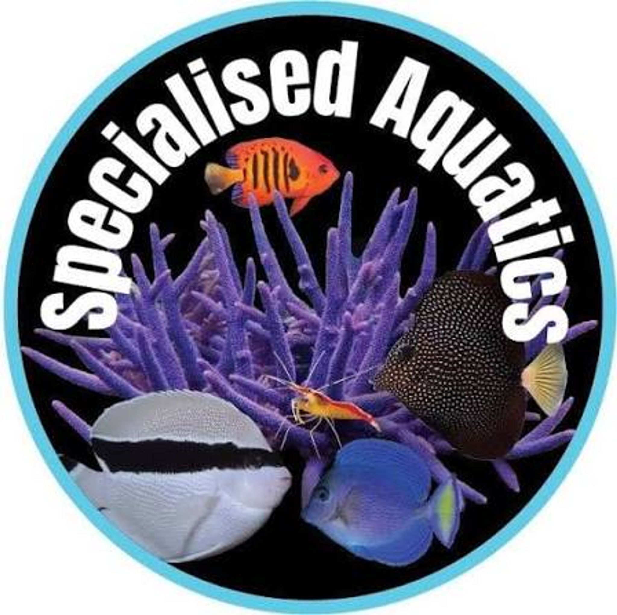 Specialized Aquatic Solutions Bukit Timah
