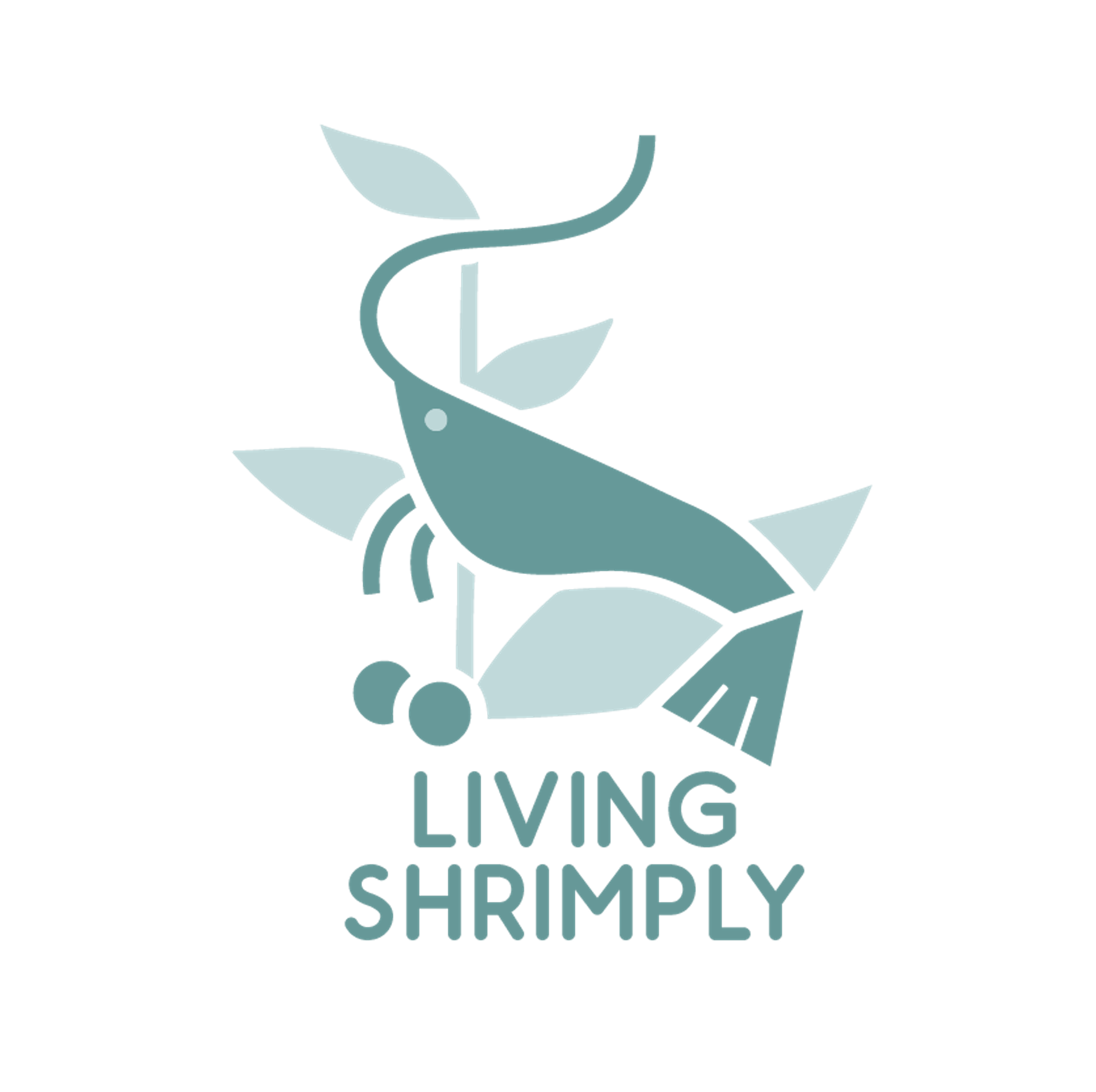 Living Shrimply Sin Ming