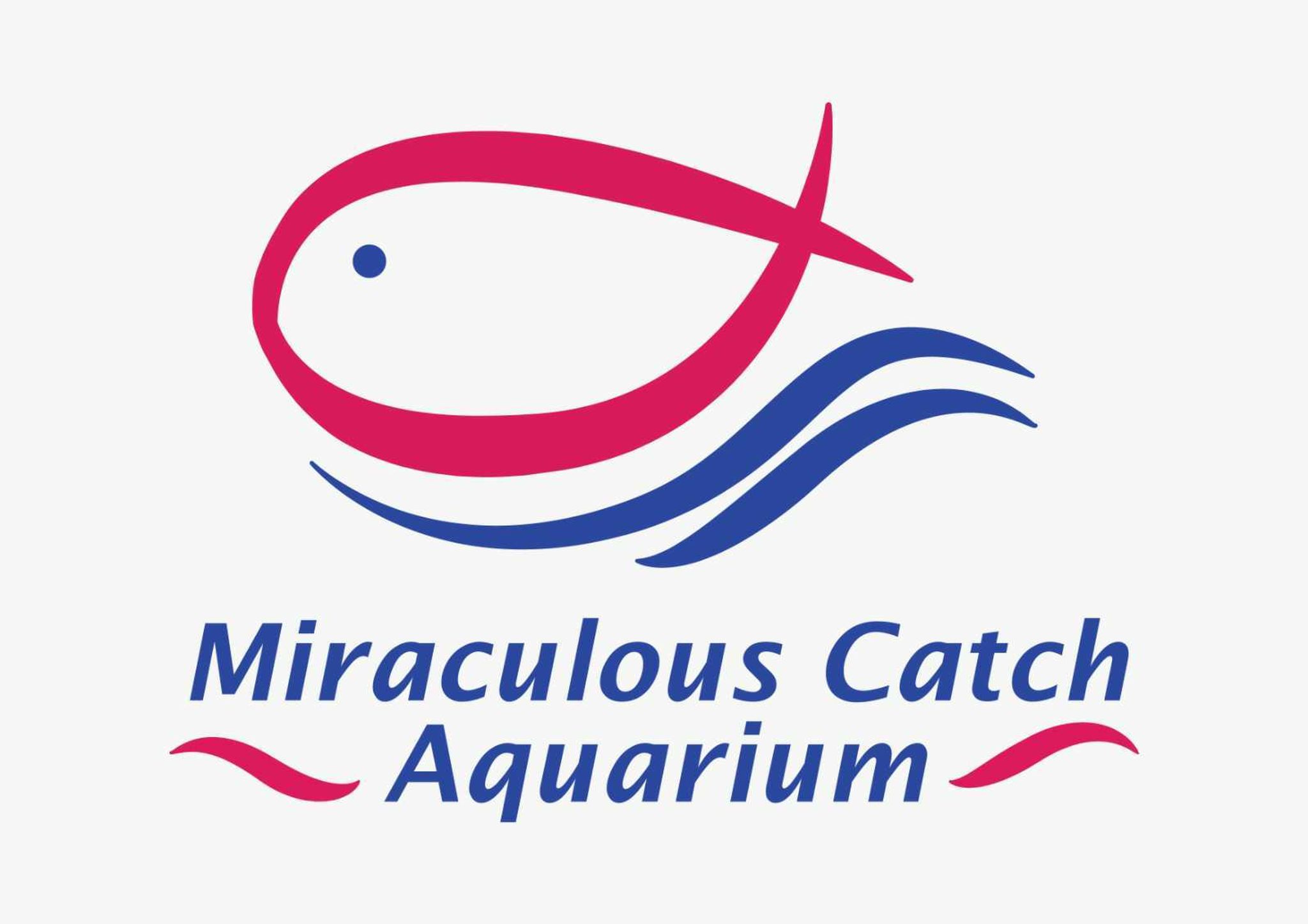 Miraculous Catch Aquarium Buona Vista