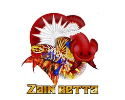 Zain Betta