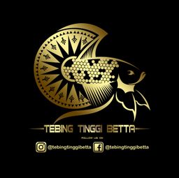 Tebing Tinggi Betta