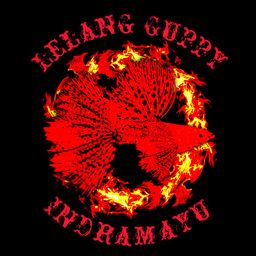 Lelang Guppy Indramayu