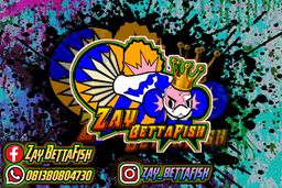 zay bettafish