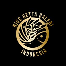 Nicc Betta Gallery Indonesia