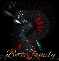 betta familly