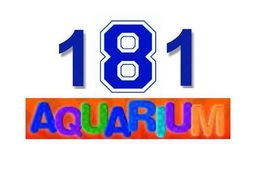 The 181 Aquarium