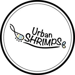 Urban Shrimps