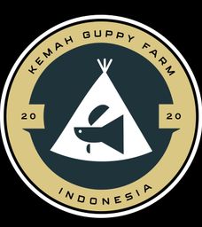 kemahguppy