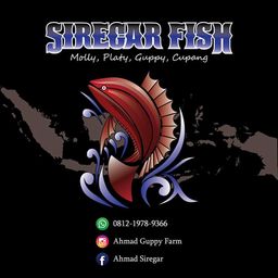 Siregar fish