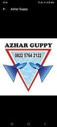 Azhar Guppy