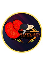 Guppy_qyu