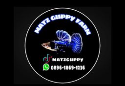 MATZ GUPPY FARM