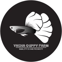 YashaguppyFarm