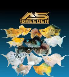 As Breeder