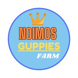 noimos