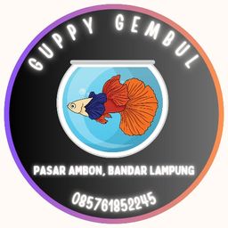 Guppy Gembul Gembul