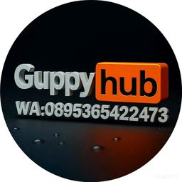 Hub Guppy