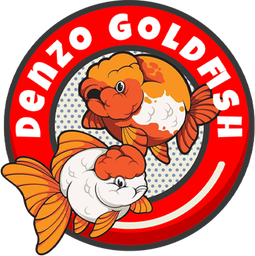 DENZO GOLDFISH OFFICIAL