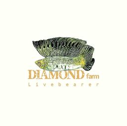 Diamondfarm